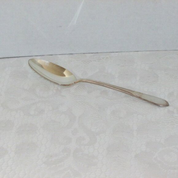 Vintage Silverplate Serving Spoon MARY LOU DEVONSHIRE 8.5inch Rogers Internation - Picture 2 of 4
